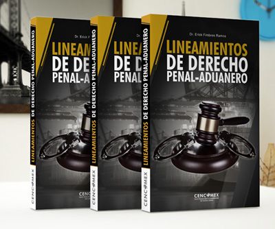 Lineamientos de derecho penal aduanero