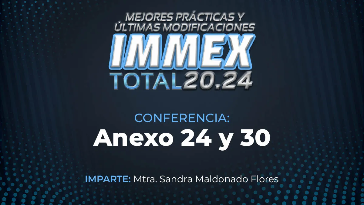 IMMEX24-04