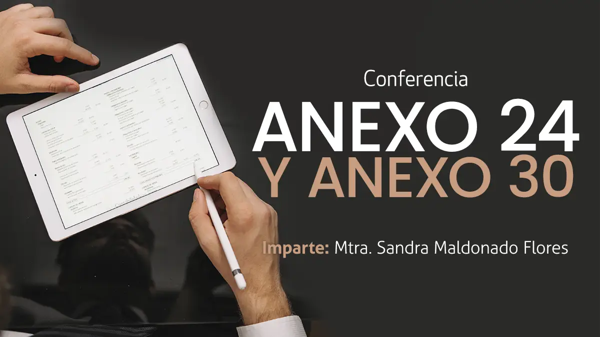 anexo 24 copia