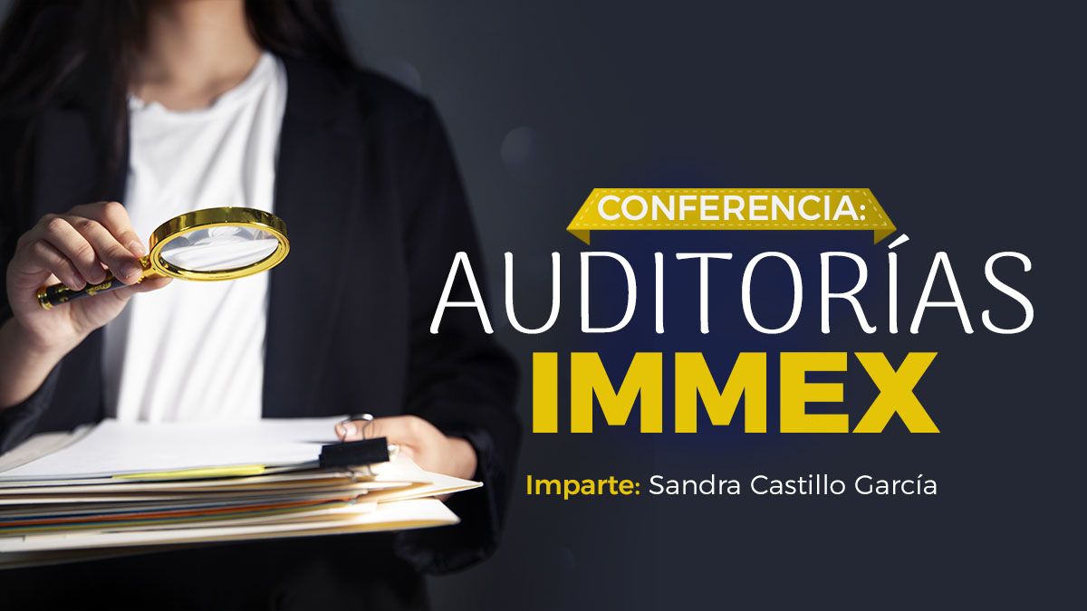 auditoria immex copia