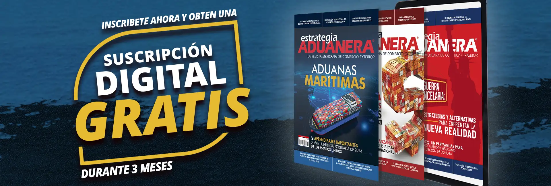 banner promo revista copia