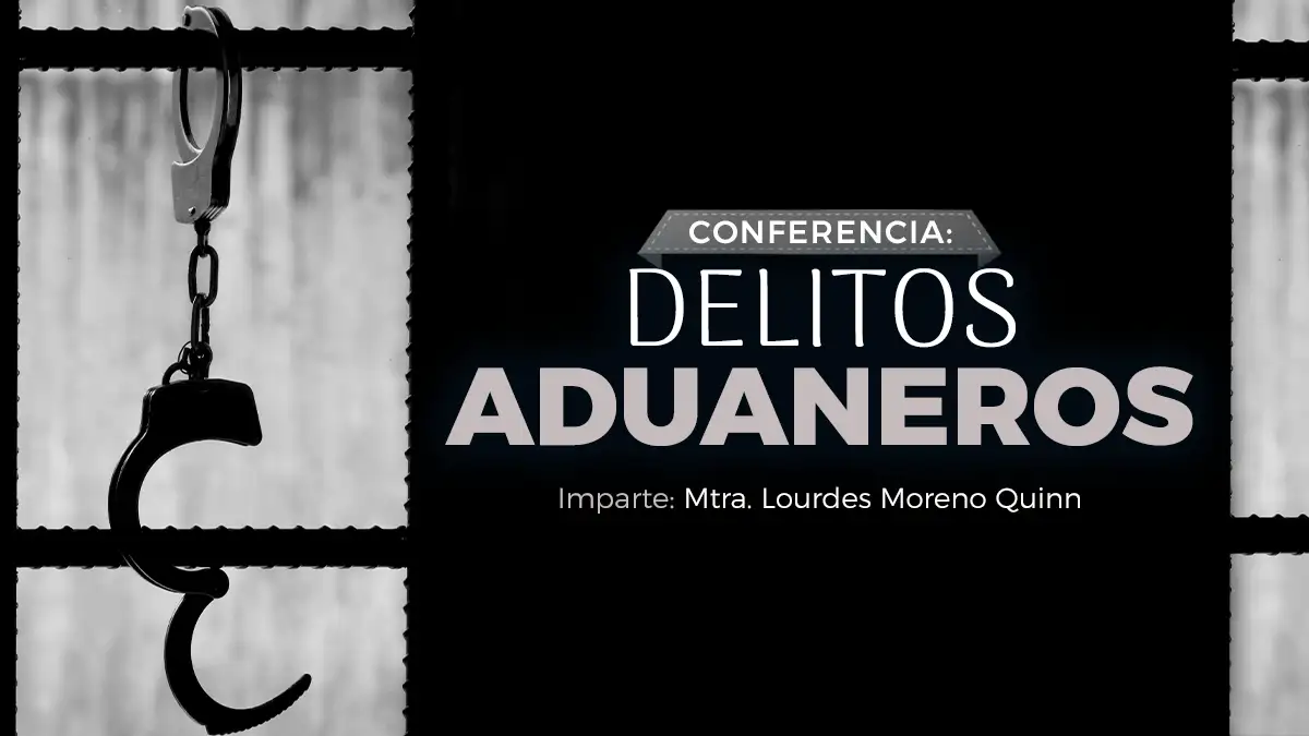 delitos aduaneros