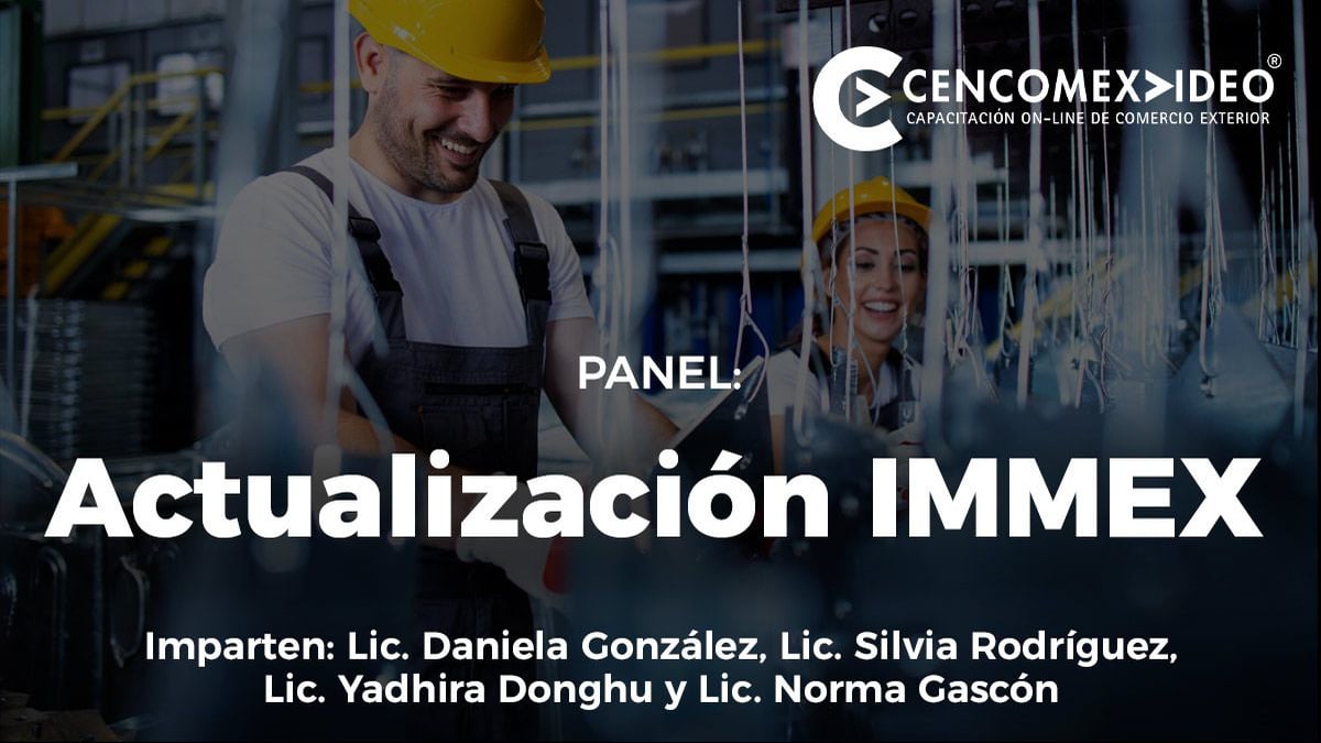 panel actualizacion immex
