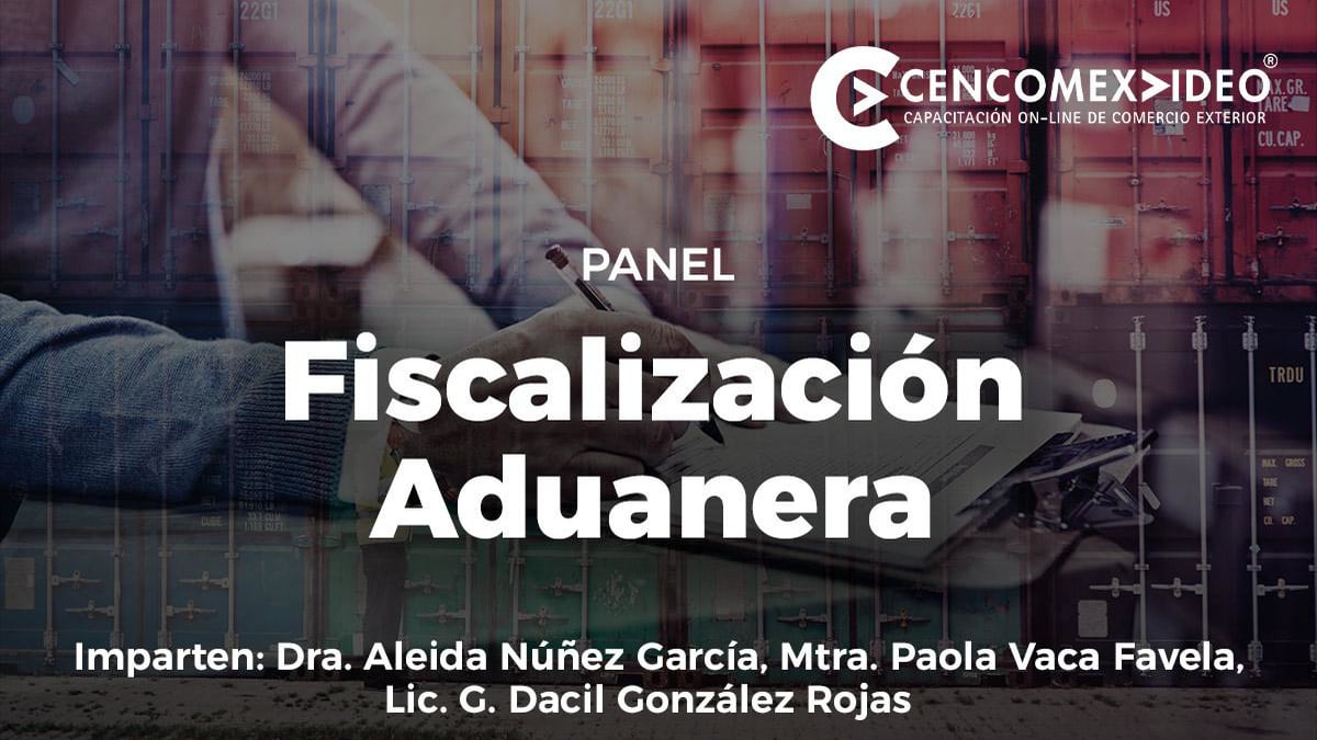 panel fiscalizacion aduanera
