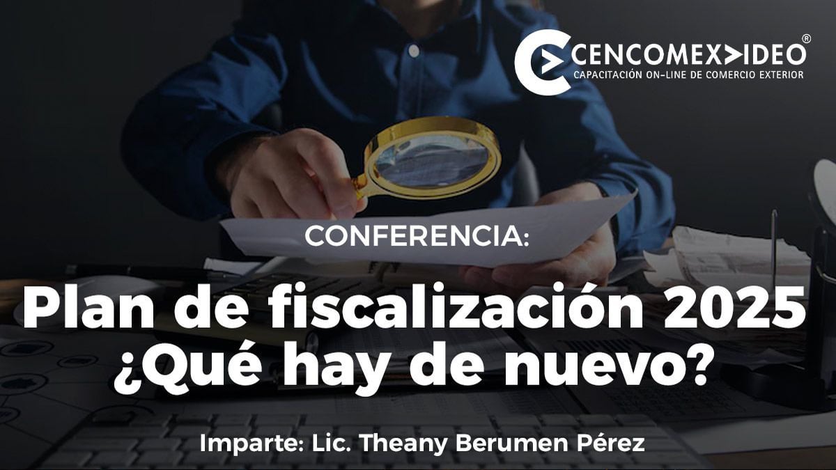 plan de fiscalizacion 2025