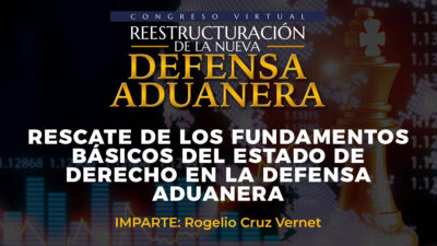 restructuracion-defensa-aduanera-04