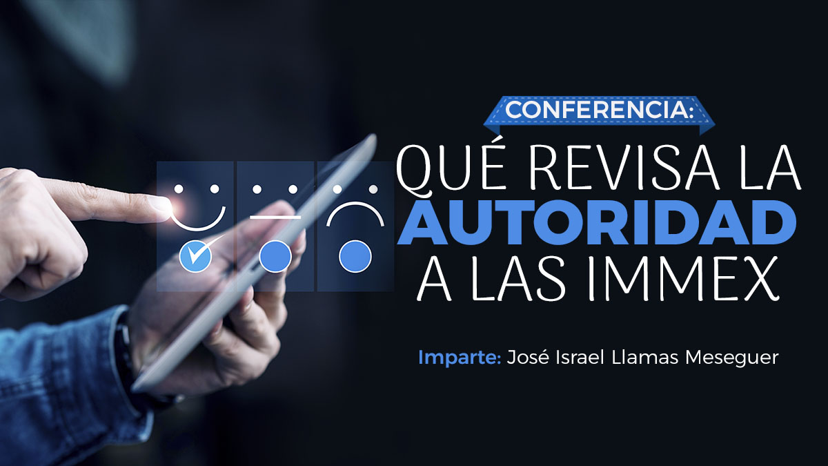 revision immex copia